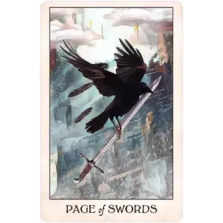 Crow Tarot (Pocket Edition)