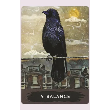 Urban Crow Oracle