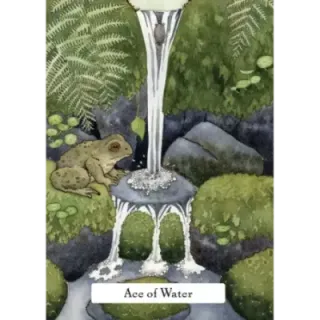 The Witches Wisdom Tarot