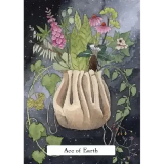 The Witches Wisdom Tarot