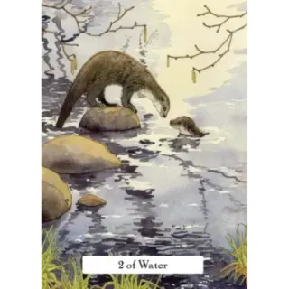 The Witches Wisdom Tarot