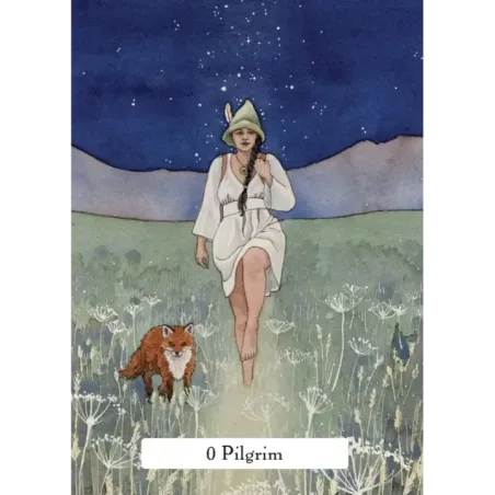 The Witches Wisdom Tarot