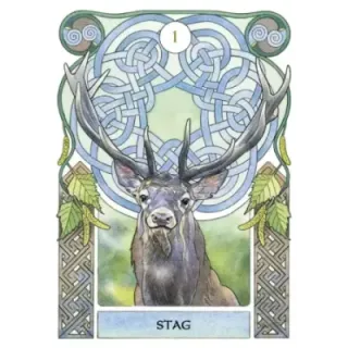 Celtic Astrology Oracle