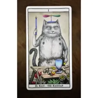 Tarot Cats