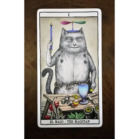 Tarot Cats