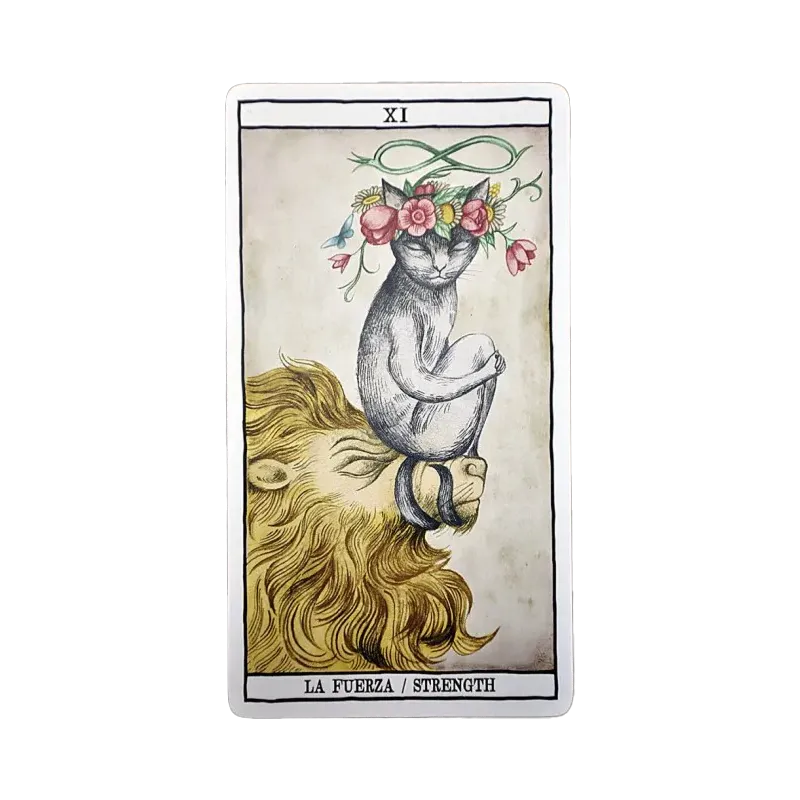 Tarot Cats