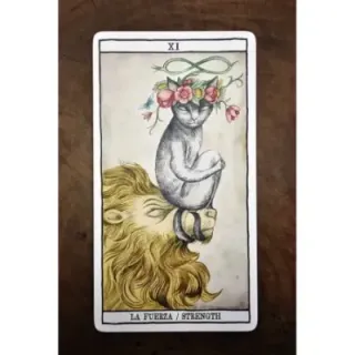 Tarot Cats