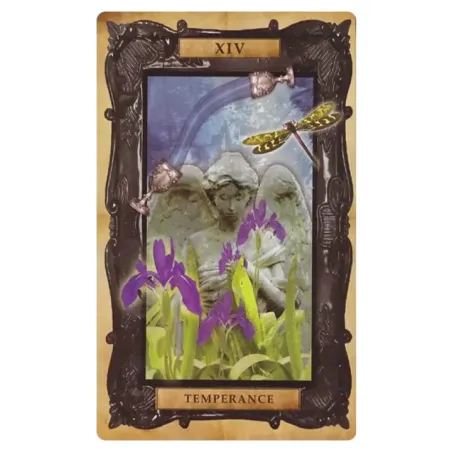 The Victorian Steampunk Tarot