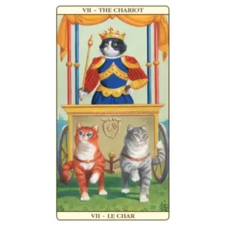 Marseille Cat Tarot