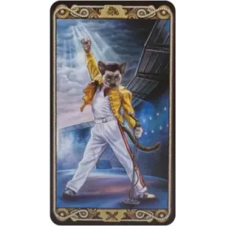 Cat Tarot