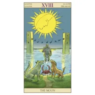 Tarot of the New Vision Set