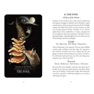 Midnight Magic: A Tarot Deck of Mushrooms