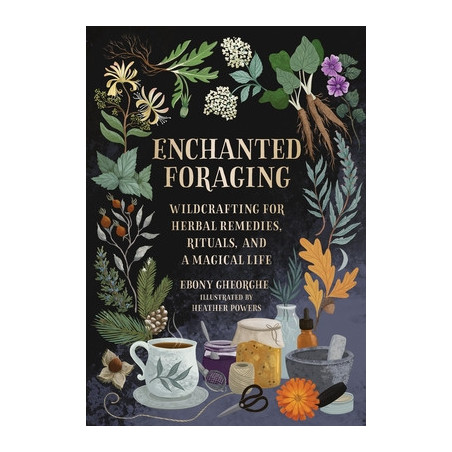 Enchanted Foraging: Wildcrafting for Herbal Remedies, Rituals, and a Magical Life