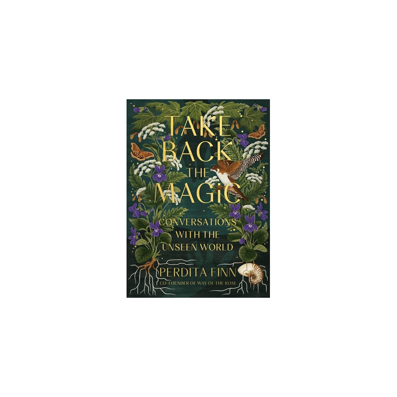 Take Back the Magic: Conversations with the Unseen World