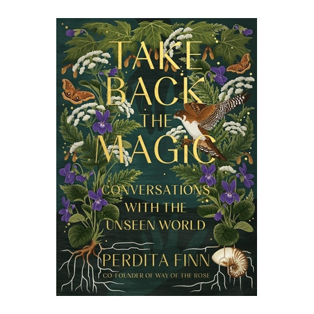 Take Back the Magic: Conversations with the Unseen World