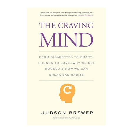 The Craving Mind: From Cigarettes to Smartphones to Love - Why We Get Hooked and How We Can Break Bad Habits