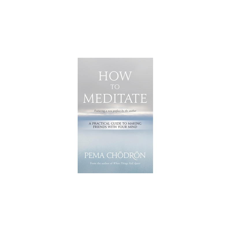 How to Meditate: A Practical Guide to Making Friends with Your Mind