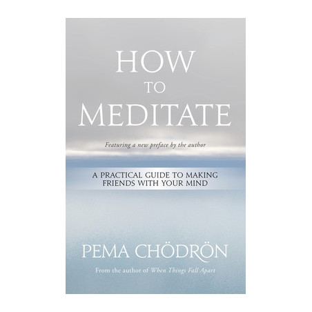 How to Meditate: A Practical Guide to Making Friends with Your Mind