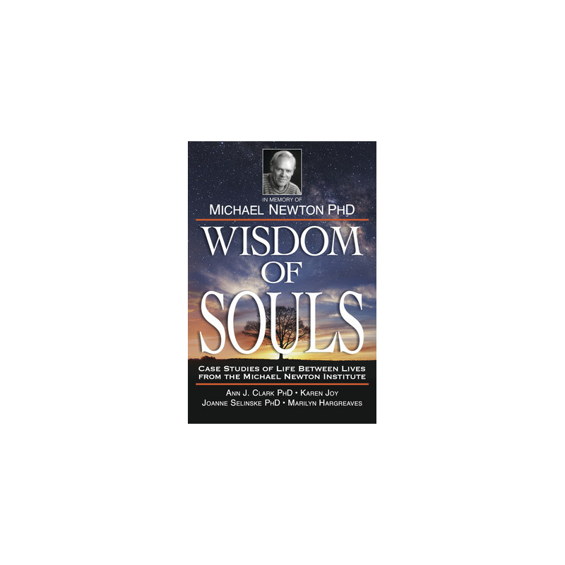 Wisdom of Souls: Case Studies of Life Between Lives from the Michael Newton Institute