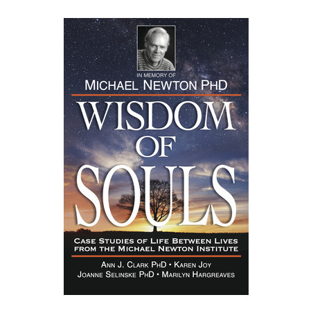 Wisdom of Souls: Case Studies of Life Between Lives from the Michael Newton Institute