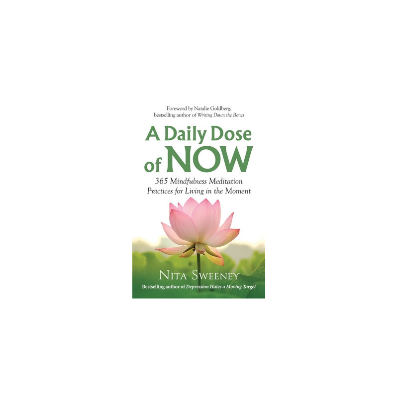 A Daily Dose of Now: 365 Mindfulness Meditation Practices for Living in the Moment