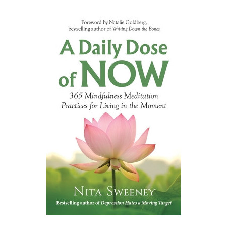 A Daily Dose of Now: 365 Mindfulness Meditation Practices for Living in the Moment