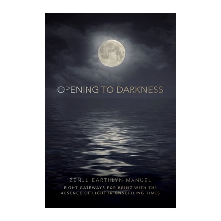 Opening to Darkness: Eight Gateways for Being with the Absence of Light in Unsettling Times